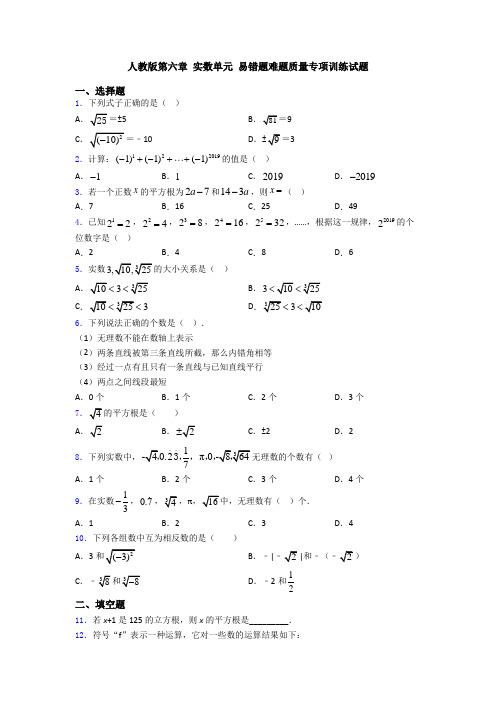 人教版第六章 实数单元 易错题难题质量专项训练试题