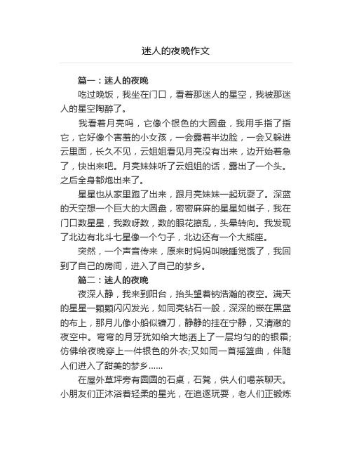 迷人的夜晚作文