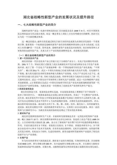 湖北省战略性新型产业的发展状况及提升路径.