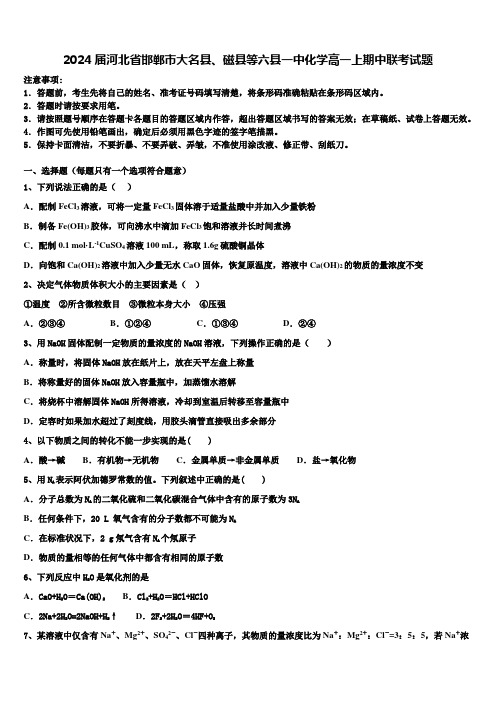 2024届河北省邯郸市大名县、磁县等六县一中化学高一上期中联考试题含解析