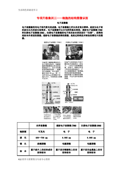 [推荐学习]届高考生物一轮复习专项集训3 细胞的结构图像识别(1)