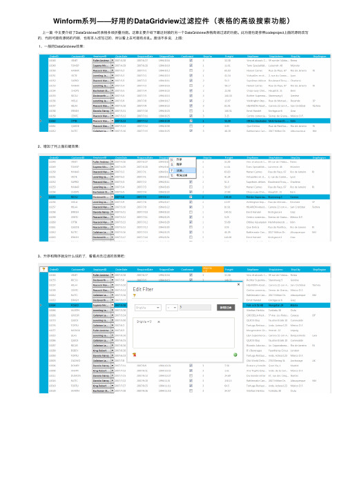 Winform系列——好用的DataGridview过滤控件（表格的高级搜索功能）