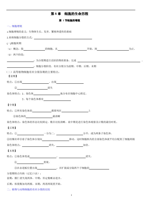 第6章 细胞的生命历程 期末复习知识点归纳填空【新教材】人教版(2019)高中生物必修一