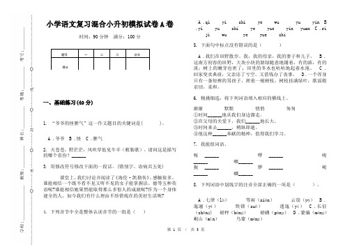 小学语文复习混合小升初模拟试卷A卷