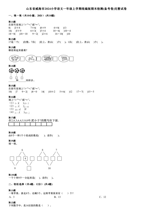 山东省威海市2024小学数学一年级上学期统编版期末检测(备考卷)完整试卷