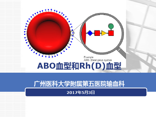 ABO血型及Rh血型PPT课件