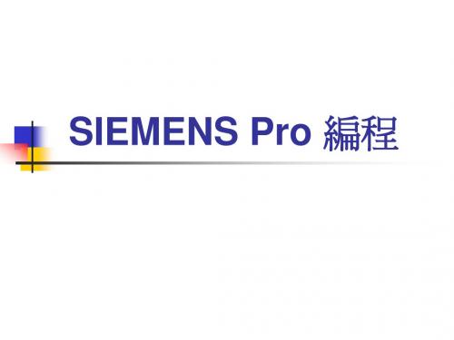 SIEMENS Pro 编程