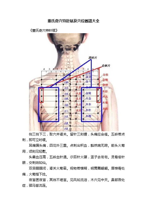 董氏奇穴特針賦及穴位圖譜大全