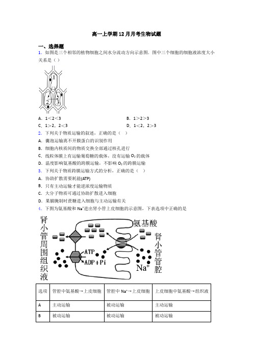 高一上学期12月月考生物试题