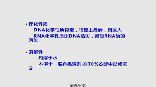 dnaran琼脂糖凝胶电泳