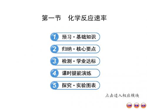 第一节  化学反应速率2.1