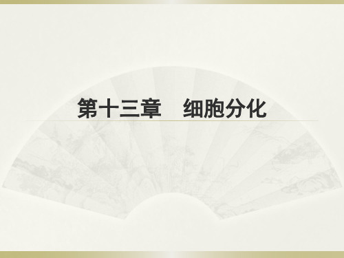 《医学细胞生物学》课件：第十三章 细胞分化