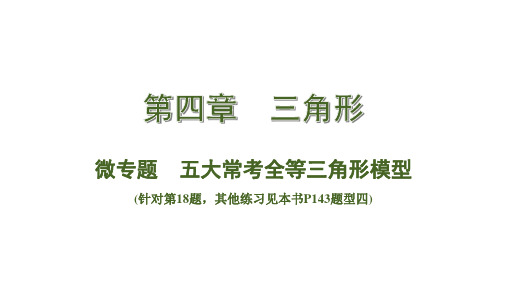 中考数学总复习考点系统复习微专题 五大常考全等三角形模型