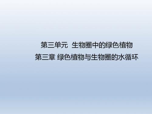 人教版七年级生物上册第三单元第三章 绿色植物与生物圈的水循环 复习课件(共17张PPT)