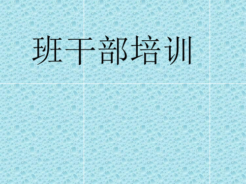 小学生班干部培训资料