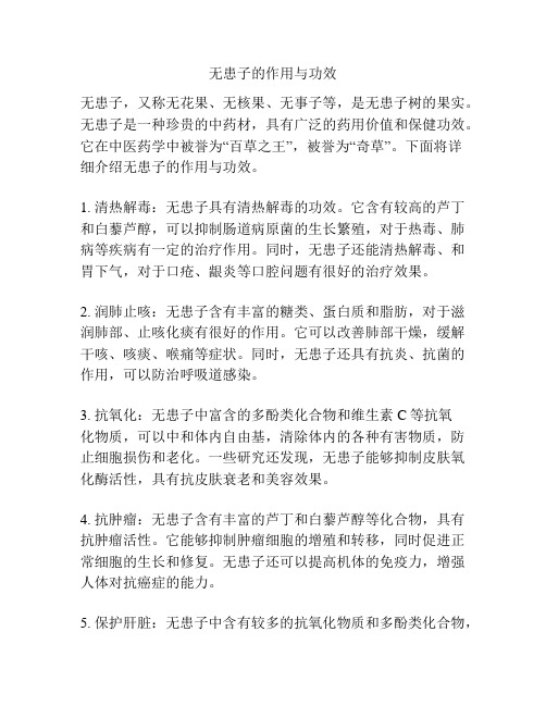 无患子的作用与功效