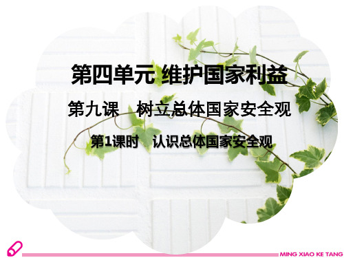 部编人教版初中八年级上册道德与法治《第九课树立总体国家安全观:认识总体国家安全观》优质课ppt课件_2