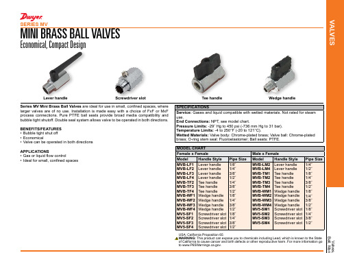 Valves Ball 小型金属阀门说明说明书