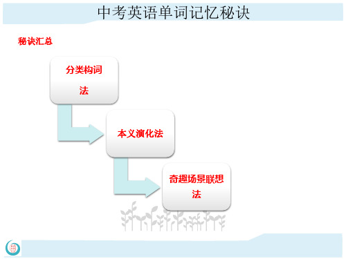 中考英语单词记忆秘诀之分类构词法