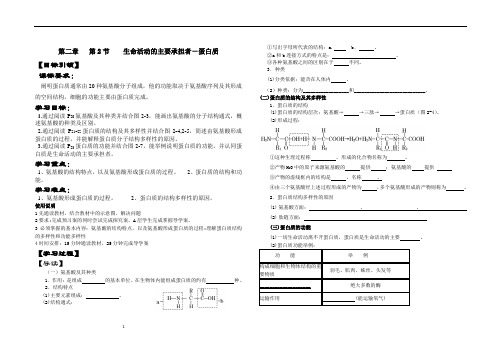 蛋白质-导学案