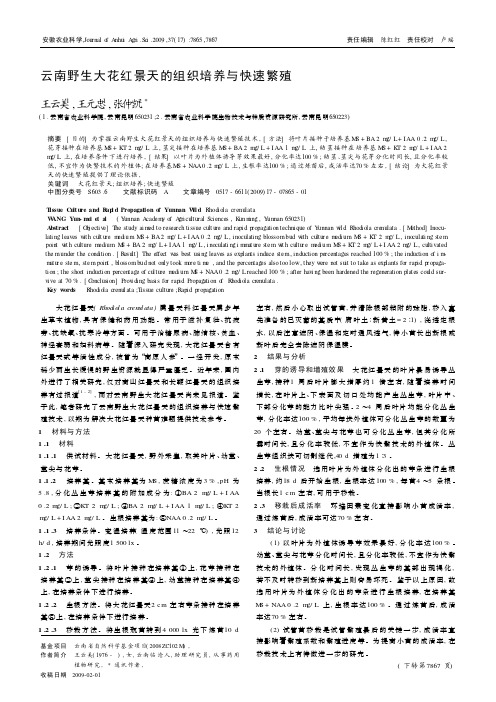 云南野生大花红景天的组织培养与快速繁殖