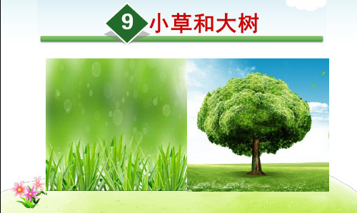 苏教语文六年级上册第三单元要点知识+精选练习