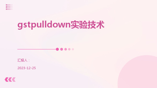 gstpulldown实验技术