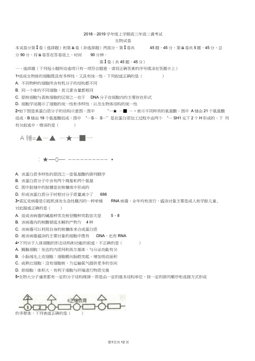 衡水中学2018-2019学年度上学期高三年级二调考试(理科)试卷生物