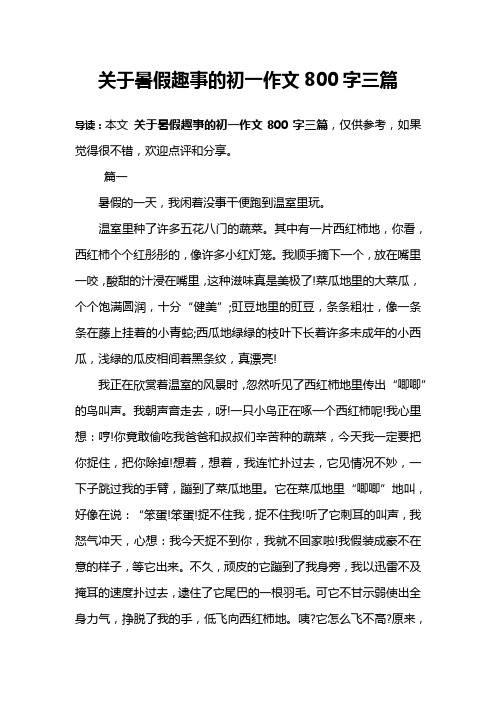 关于暑假趣事的初一作文800字三篇