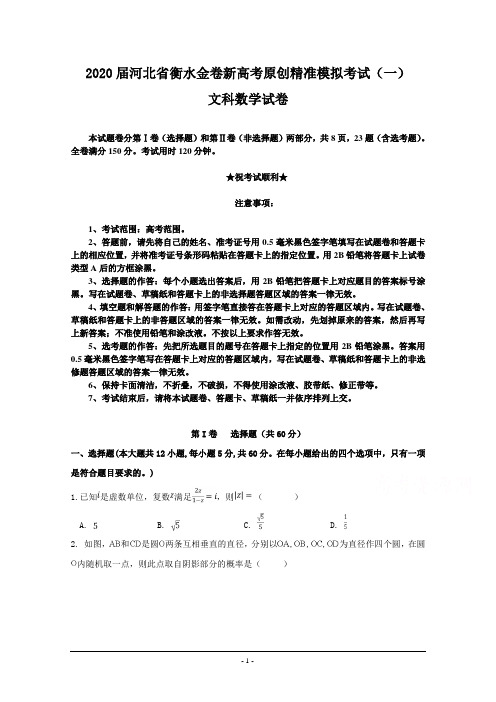 2020届河北省衡水金卷新高考原创精准模拟考试(一)文科数学试卷