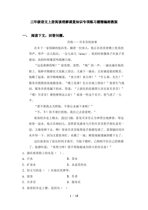 三年级语文上册阅读理解课堂知识专项练习题精编湘教版