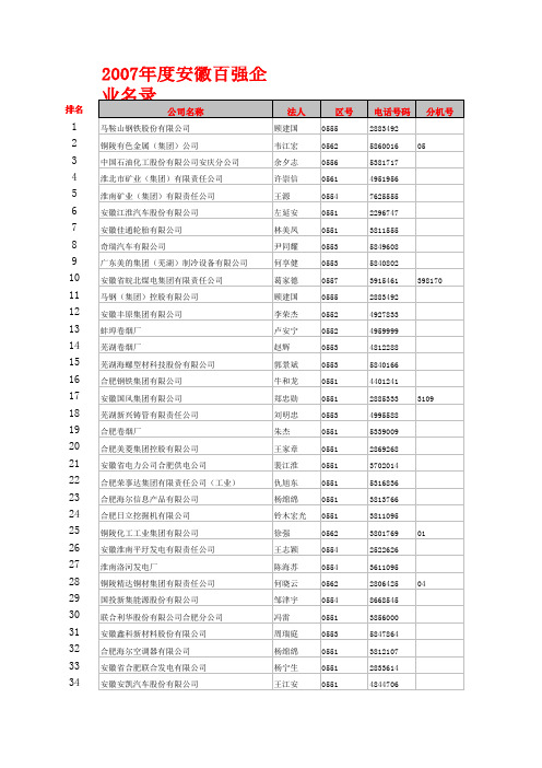 2007年安徽一百强企业名单