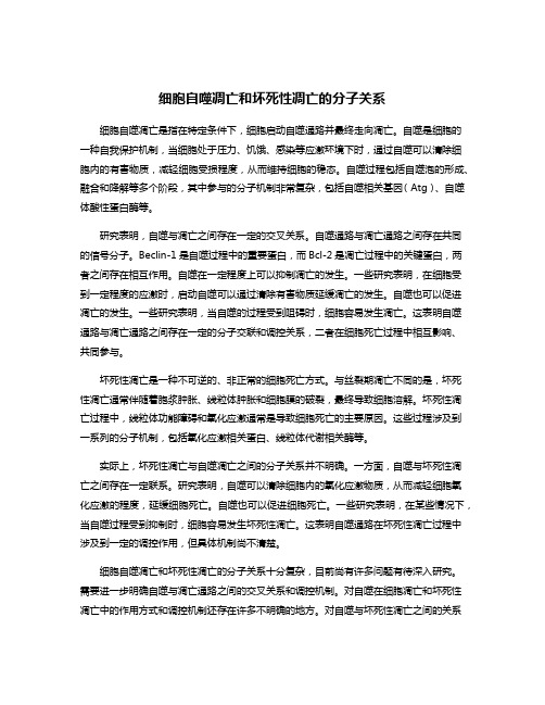 细胞自噬凋亡和坏死性凋亡的分子关系