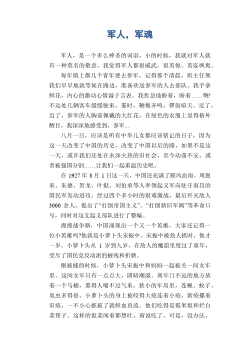 高中生关于建军节的优秀作文范文：军人,军魂