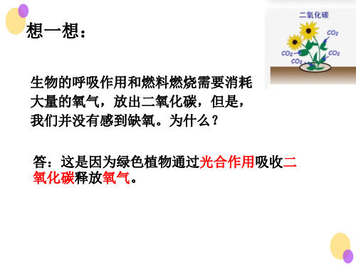 第五章第一节 光合作用吸收二氧化碳释放氧气-六年级生物下册同步教学精品课件(鲁科版)