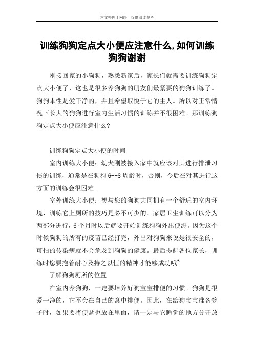 训练狗狗定点大小便应注意什么,如何训练狗狗谢谢