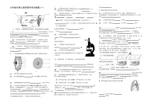 七年级生物上册识图专项训练题.docx