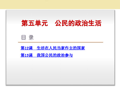 高考政治一轮复习方案 第五单元 公民的政治生活(12-13课)课件