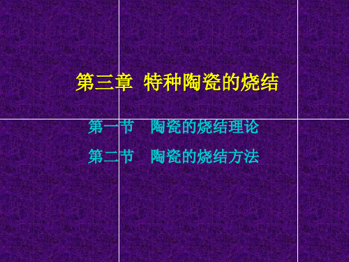 特种陶瓷的烧结机理分析培训课件：烧结理论与烧结方法