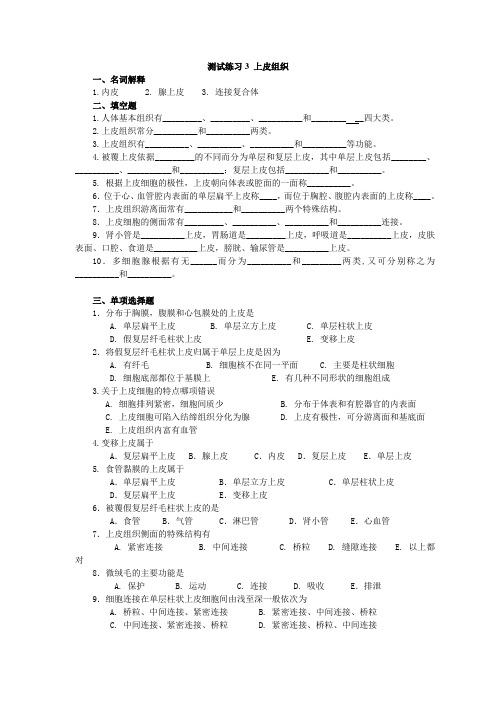 练习3上皮组织