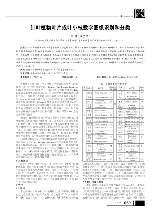 针叶植物叶片或叶小枝数字图像识别和分类