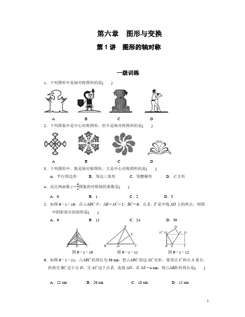 分层训练24 图形的轴对称(含答案)