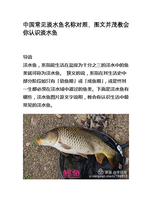 中国常见淡水鱼名称对照,图文并茂教会你认识淡水鱼