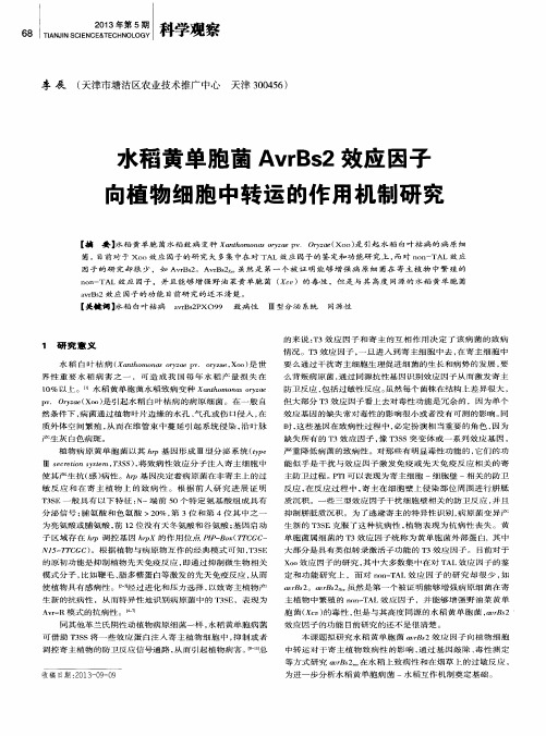 水稻黄单胞菌AvrBs2效应因子向植物细胞中转运的作用机制研究