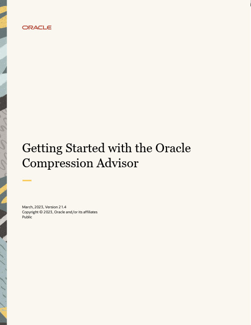 Oracle数据库21c版本使用指南说明书