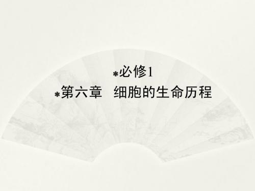 2014高三生物一轮复习课件：细胞的增殖