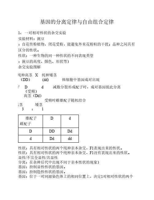 基因的分离定律与自由组合定律