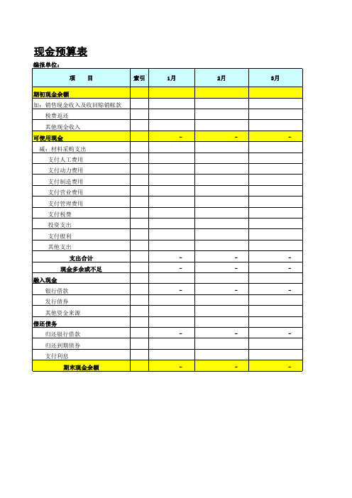 现金流量预算表