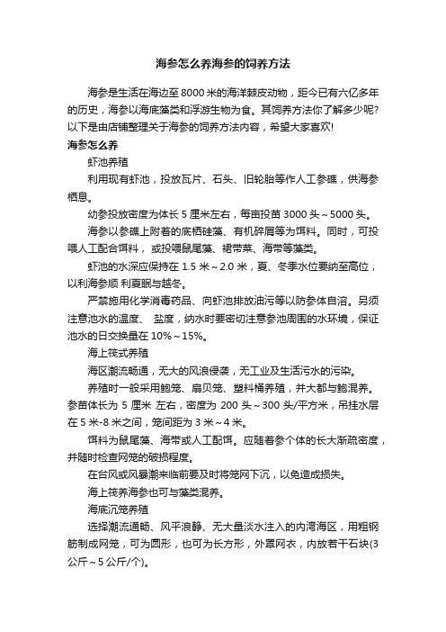 海参怎么养海参的饲养方法