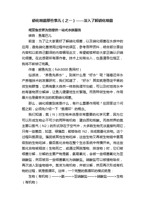 硝化细菌那些事儿（之一）——深入了解硝化细菌